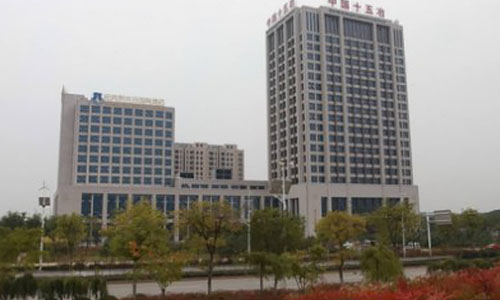 武漢市十五冶金通物質設備有限公司(出口於肯尼亞、坦桑尼亞、剛果)